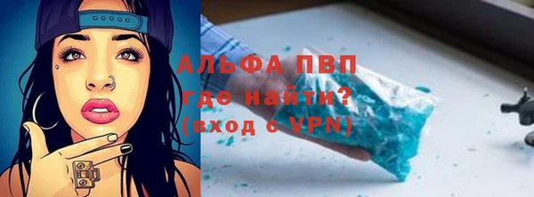 a pvp Белокуриха