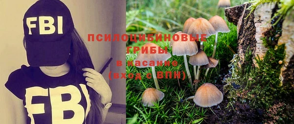 стаф Балабаново
