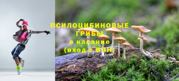 a pvp Белокуриха
