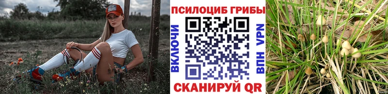 MEGA зеркало  Светлый  Псилоцибиновые грибы Magic Shrooms 